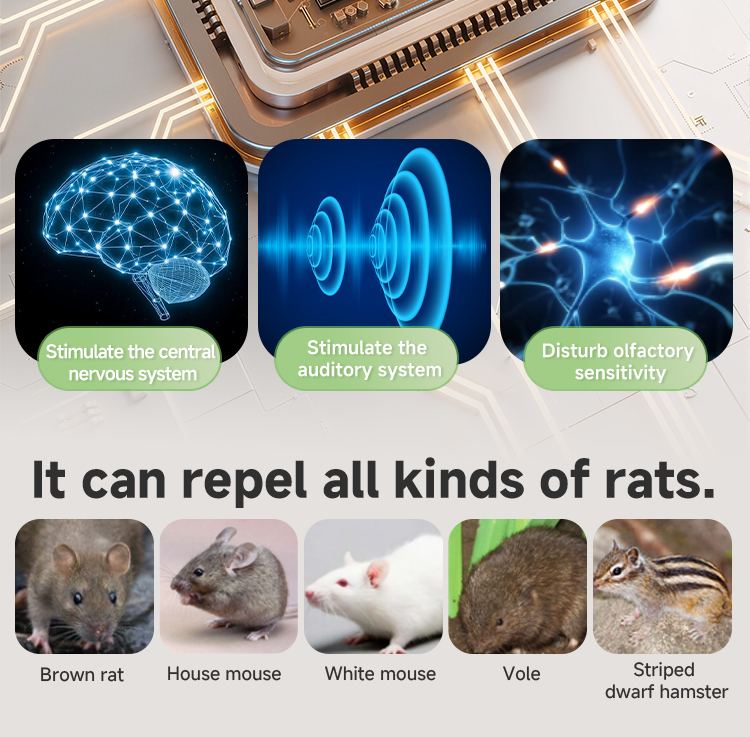 Ultrasonic Pest Repeller 613 — Diamond Design, Edge-Lit Frame details 10