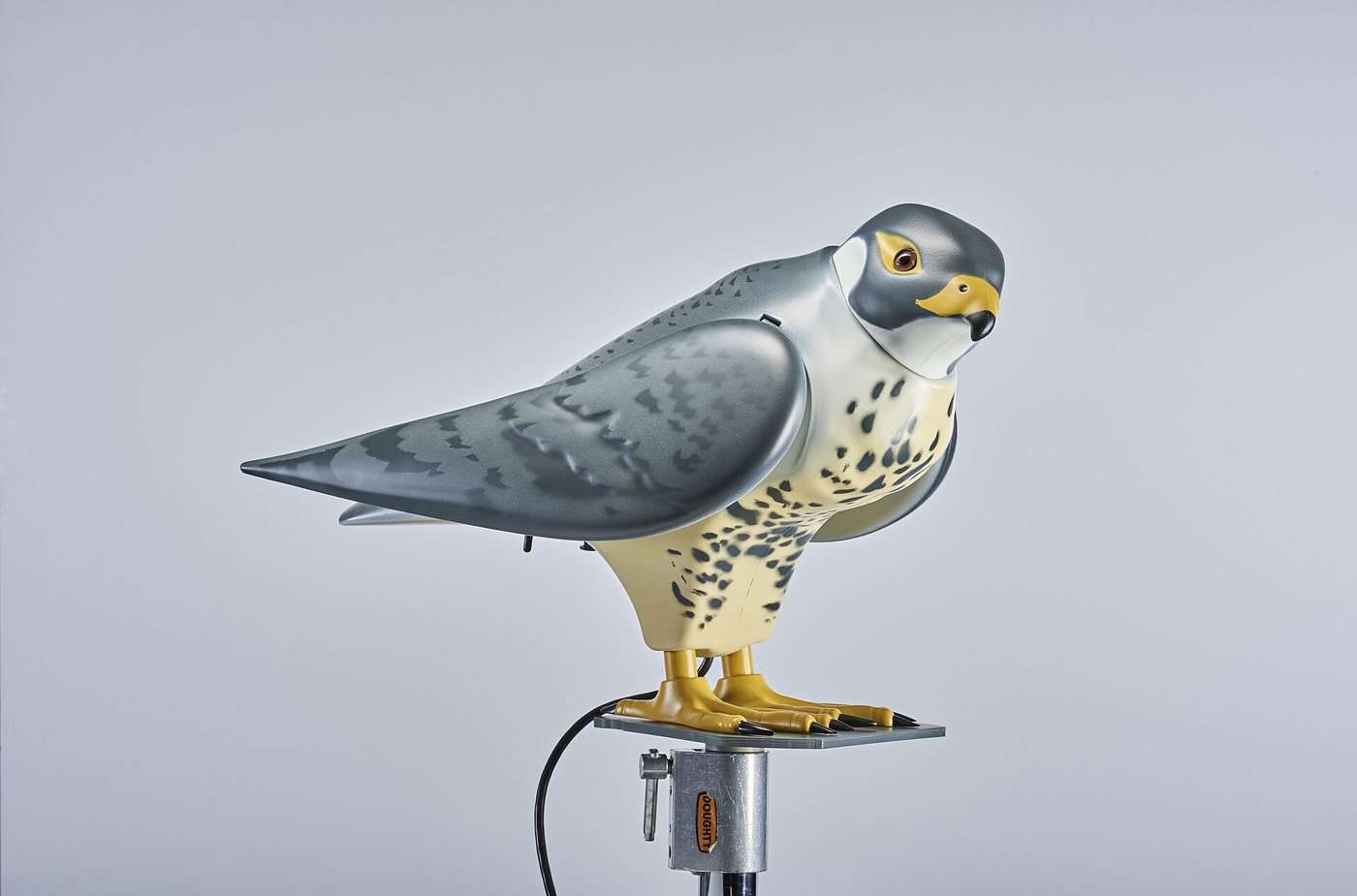 Robop R-Falcon bird deterrent device
