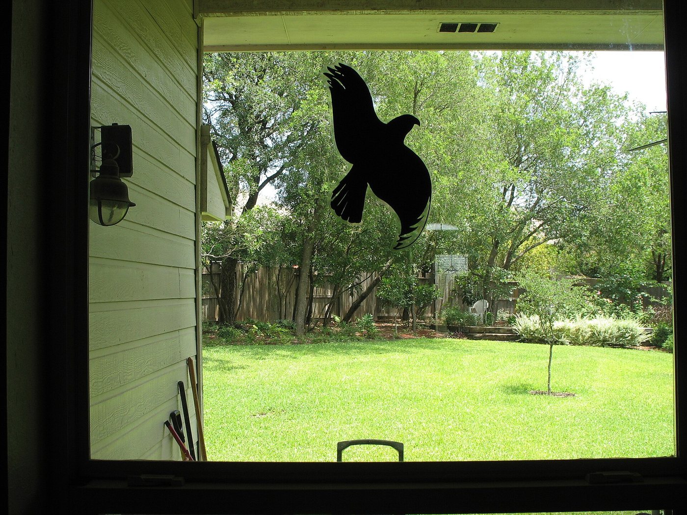 A warning bird deterrent decoy
