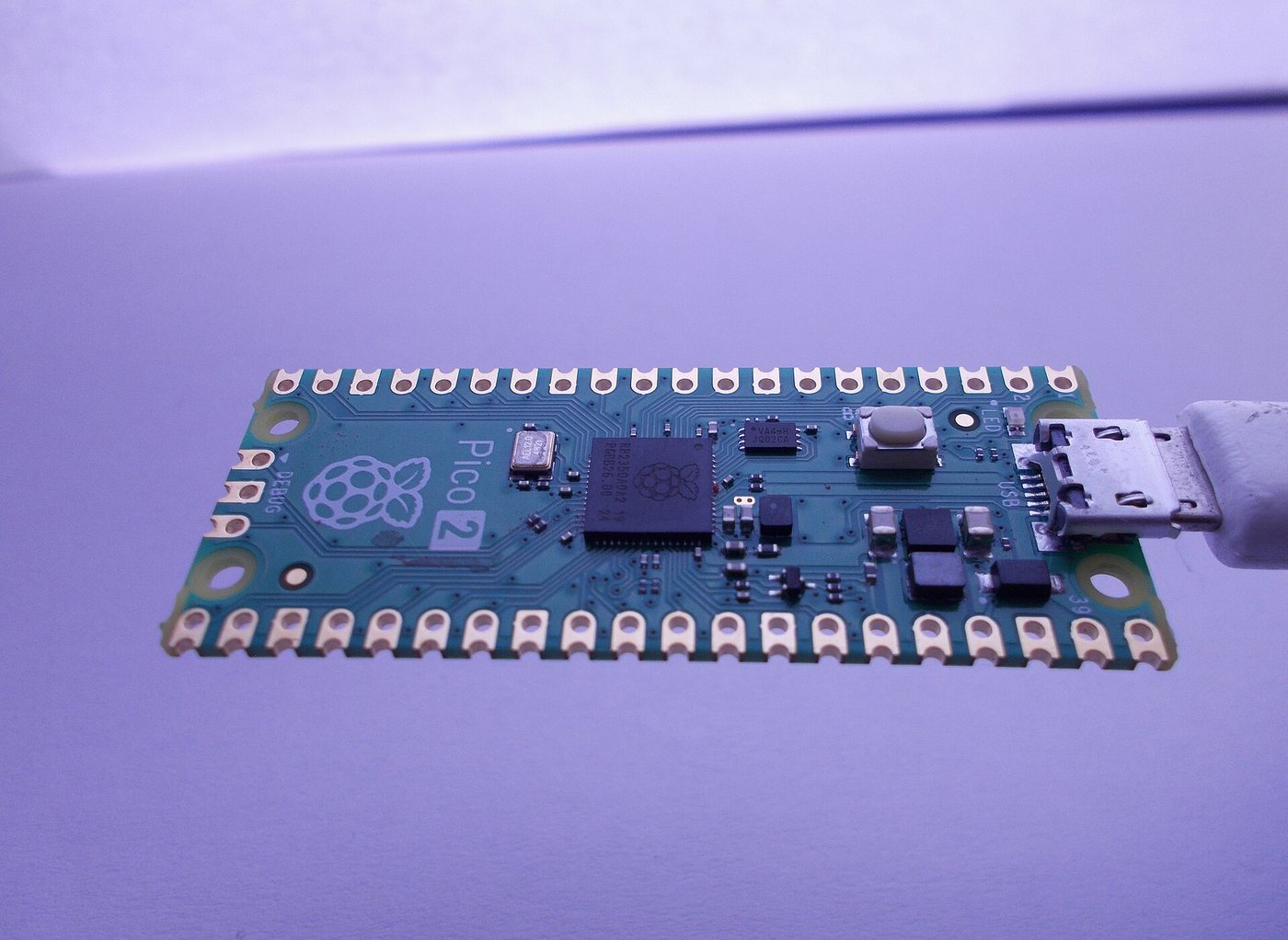 Microcontroller development board
