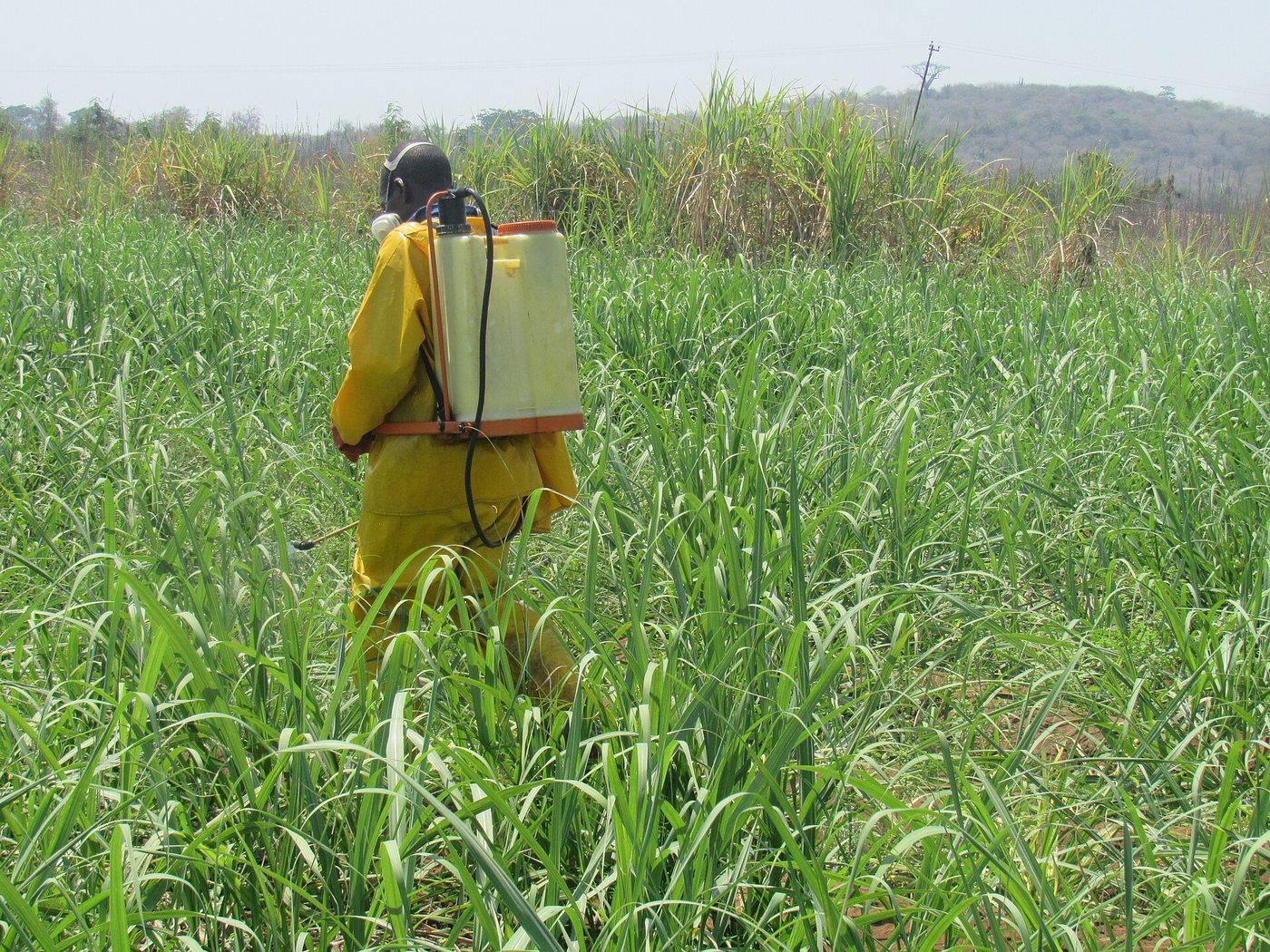 Worker spraying mosquito breeding sites