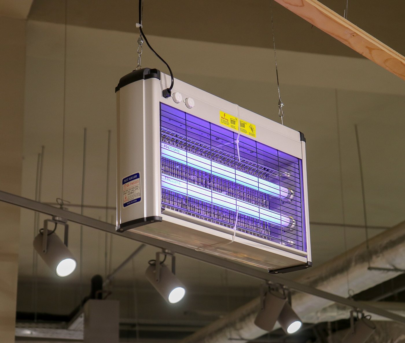 Electronic indoor insect killer unit